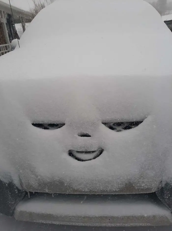 car is satisfied with getting covered in snow