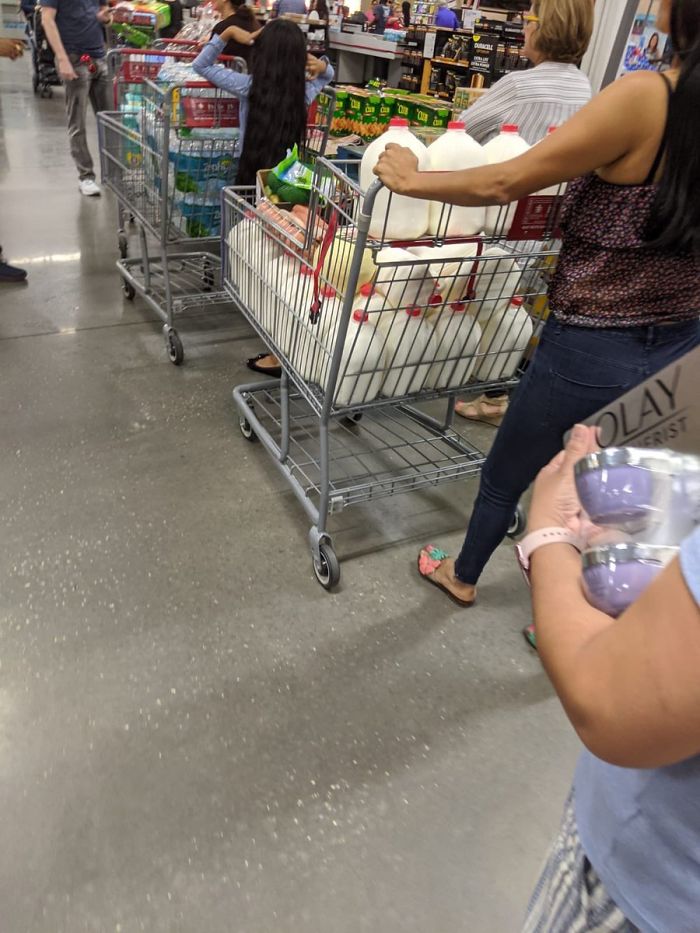 coronavirus crisis woman bulk buys milk