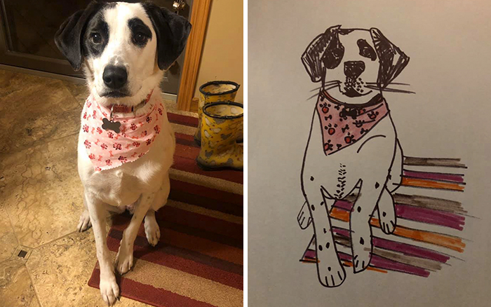 dog with adorable pink bandana
