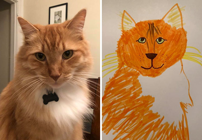 ginger cat drawing