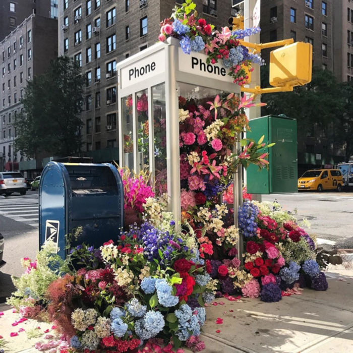 lewis miller flowers new york city phone booth