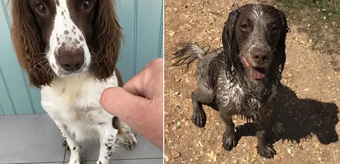 martha loves mud puddles