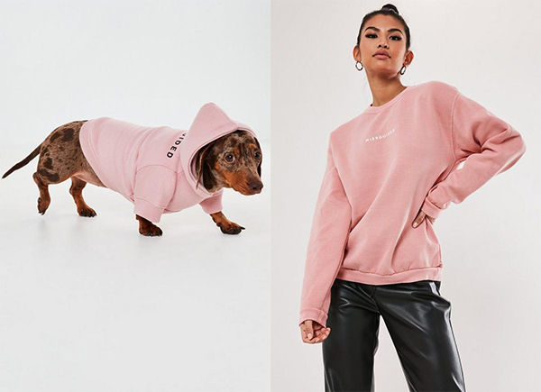matching pink jumpers for dog and owner