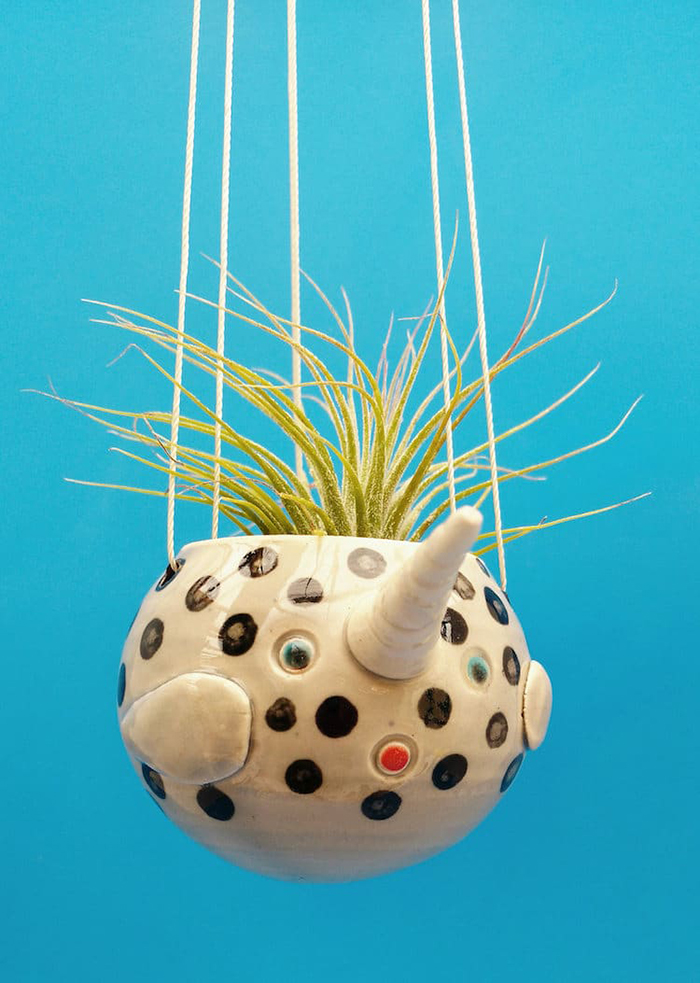 narwhal plant pot