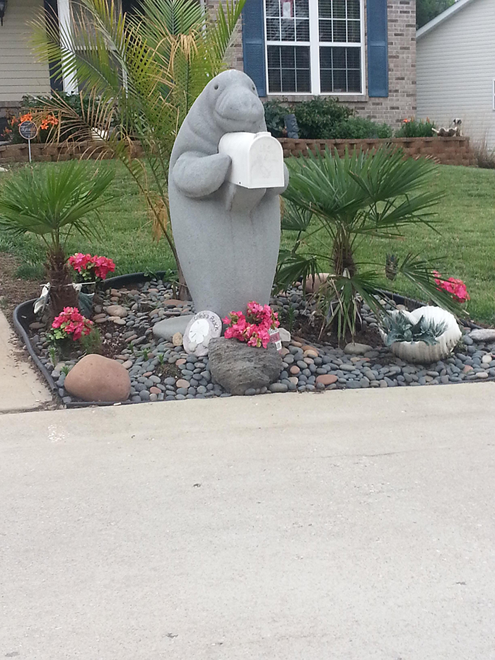 neighbor's manatee mailbox