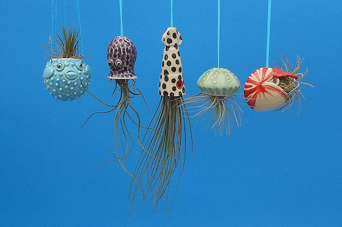 ocean animal planters