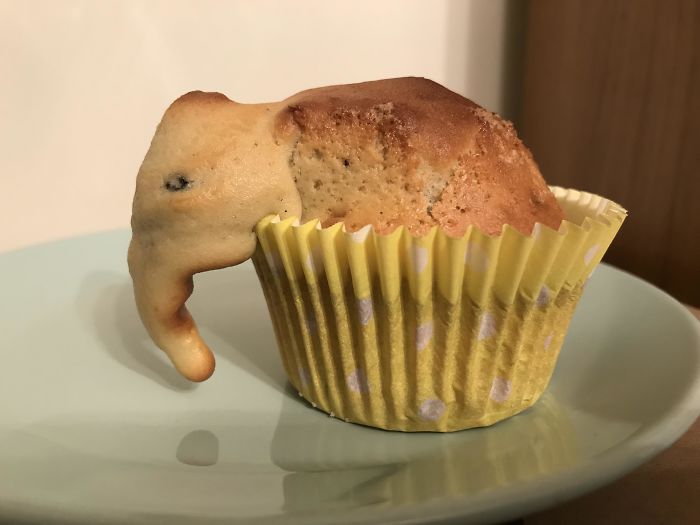 overflowing cupcake ended up looking like an elephant