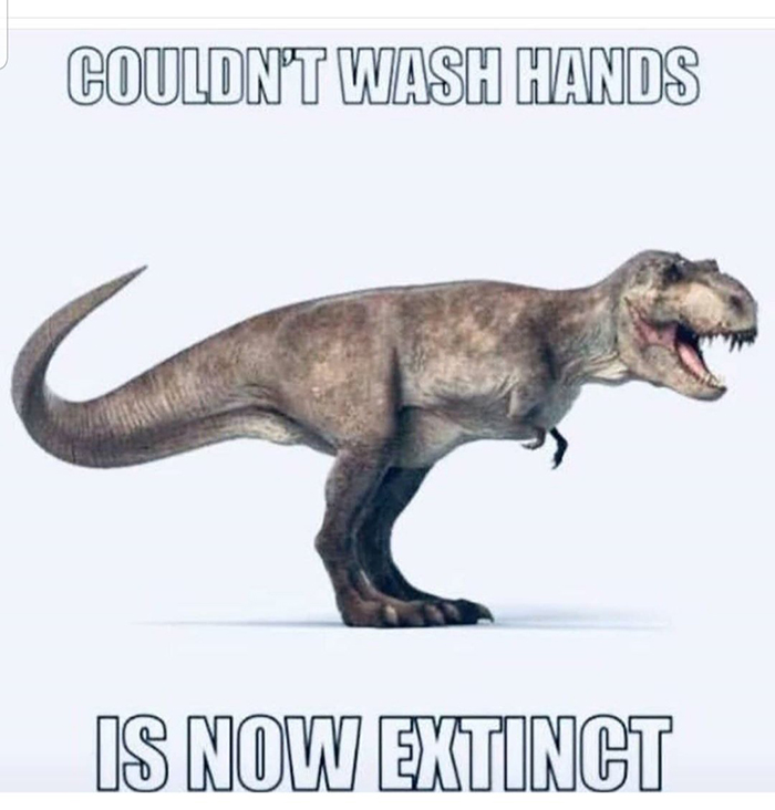 pandemic memes extinct