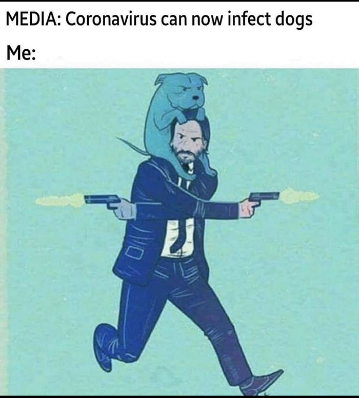 pandemic memes protect dogs