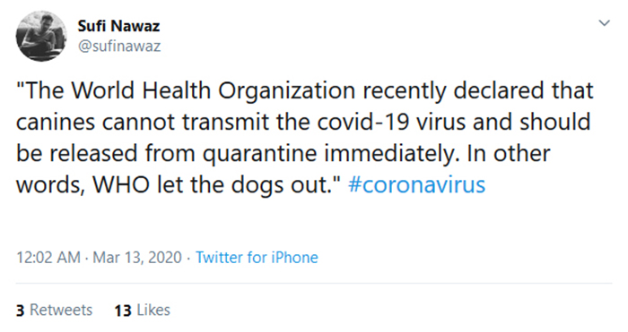 pandemic memes who let the dogs out