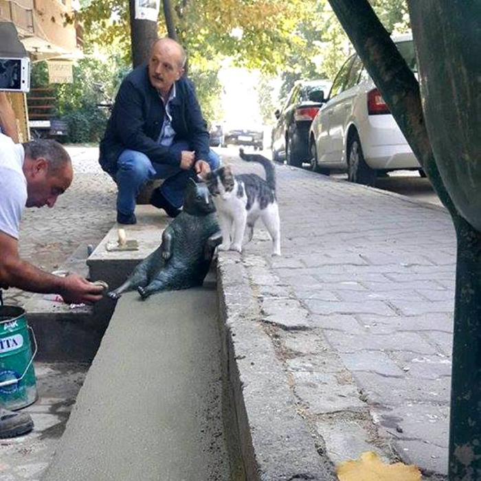 people and cats visit istanbul bronze statue