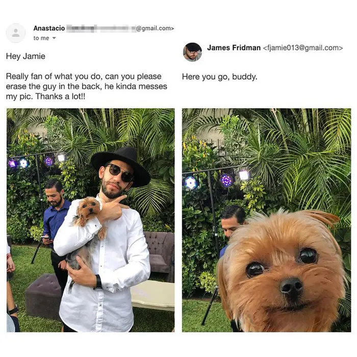 photoshop troll gives dog attention it deserves