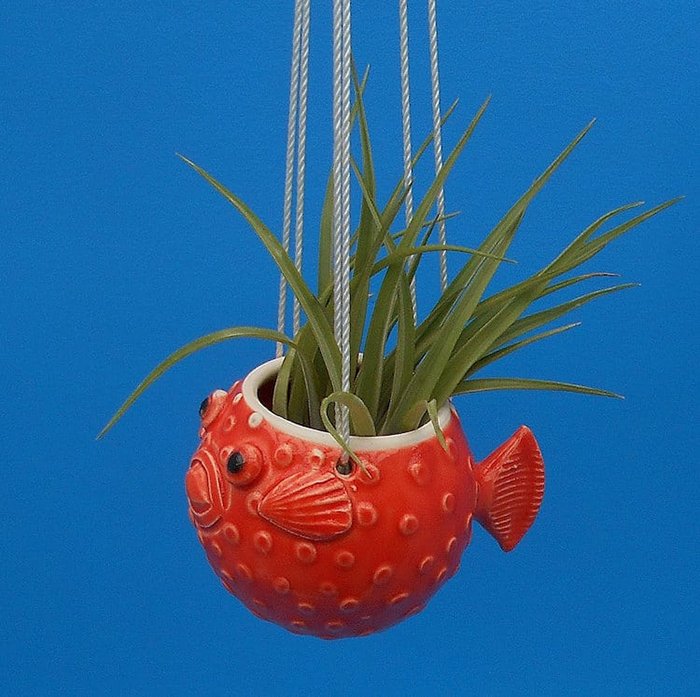 red pufferfish planter