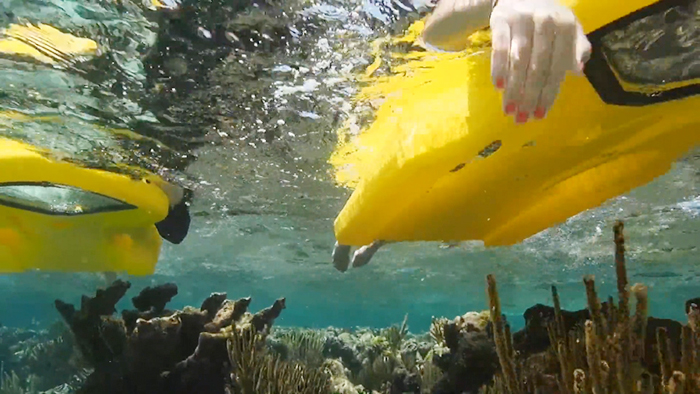 reefboard snorkel alternative