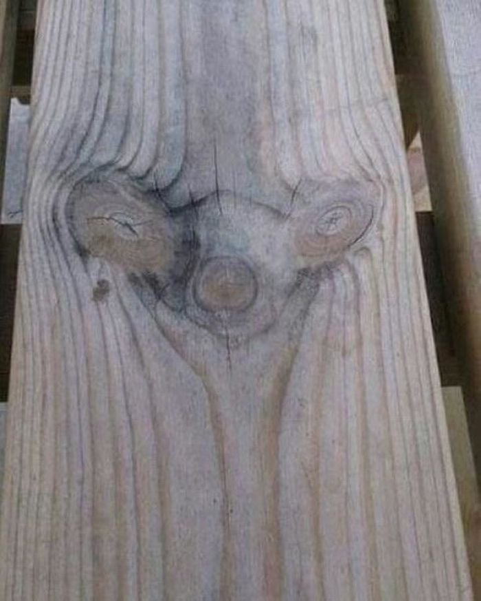 sid from ice age in wood