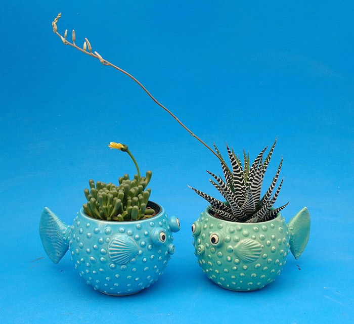 teal and aqua pufferfish planter