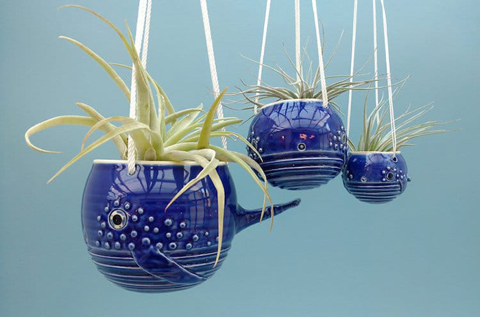 whale air plant pot in three sizes