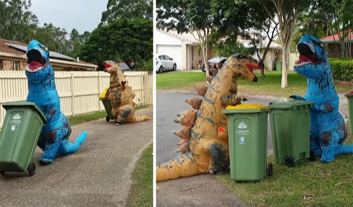 Bin Isolation Outing Two Persons Dressed as Dinosaurs Taking Bin Out