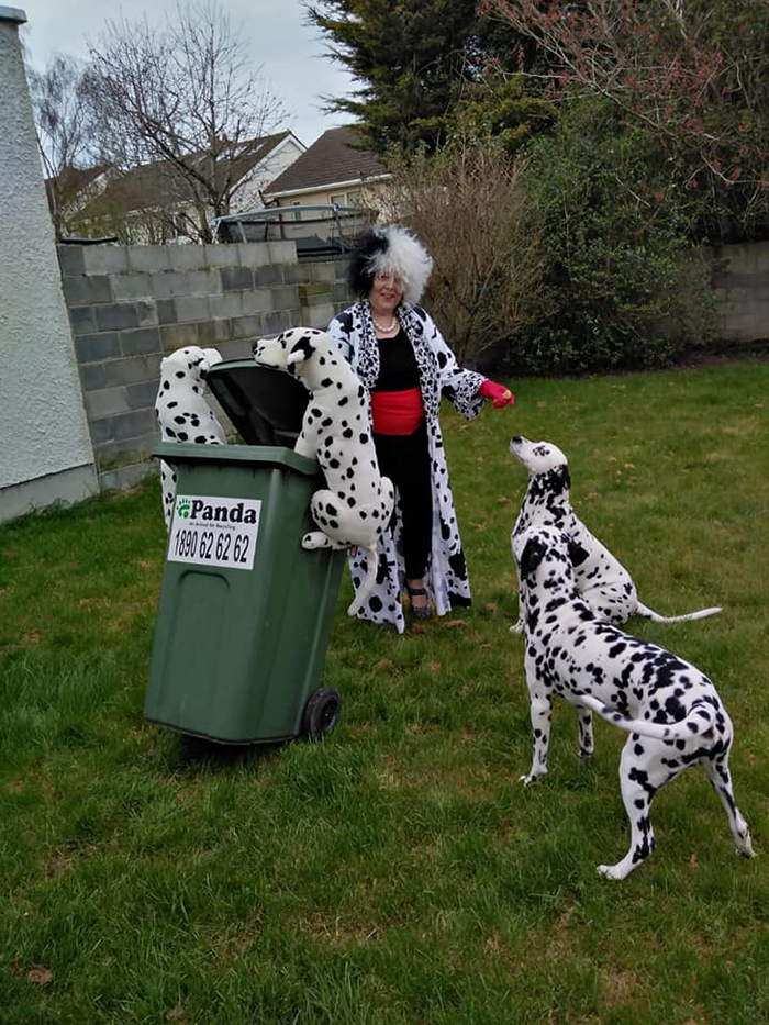 Bin Isolation Outing Woman Dressed as Cruella de Vil Taking Bin Out