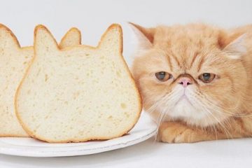 Cat-Shaped Breads