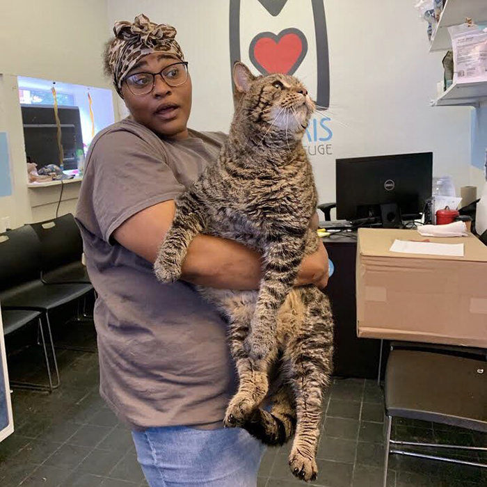 Lady Carrying Chonky Cat Named Mr. B