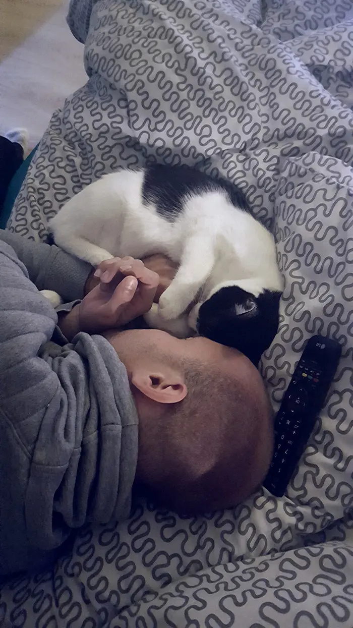 Man Sleeping on Bed Beside Kitten