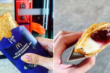 McDonald’s Blueberry Cream Cheese pie