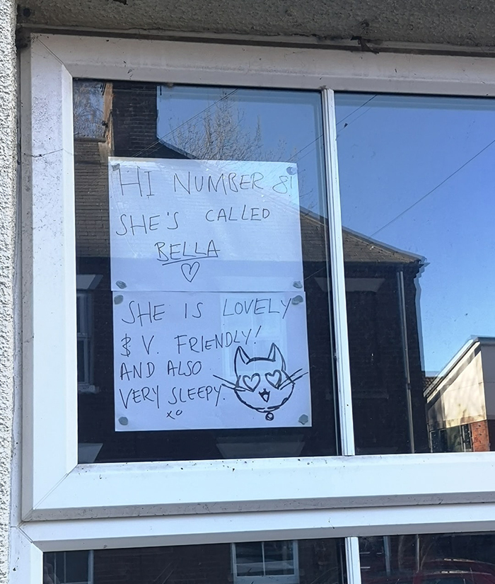 Neighborhood Conversation about Cats by the Window