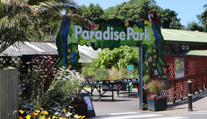 Paradise Park where Zookeepers Self-isolate