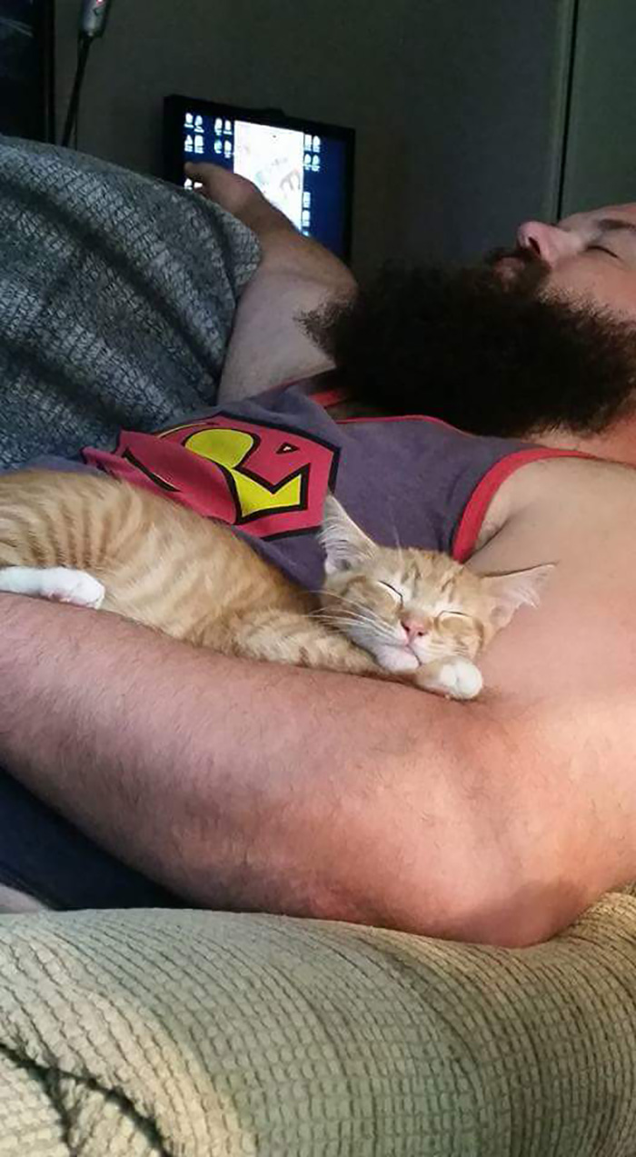 People Who Didn't Want Cats Man Sleeping with Cat on Couch