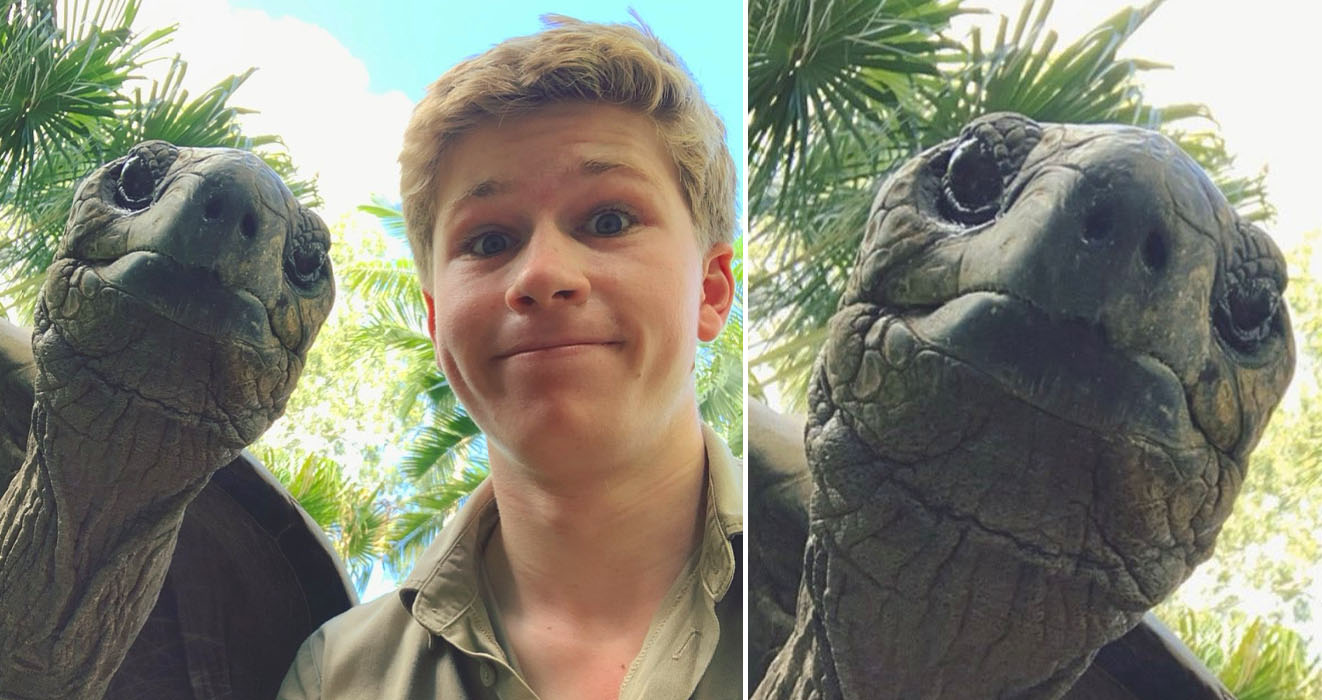 Người Bạn Tự Cô Lập Của Robert Irwin Là Một Con Rùa Aldabra Khổng Lồ