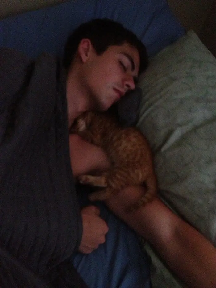 Sleeping Man with Sleeping Kitten on Shoulder