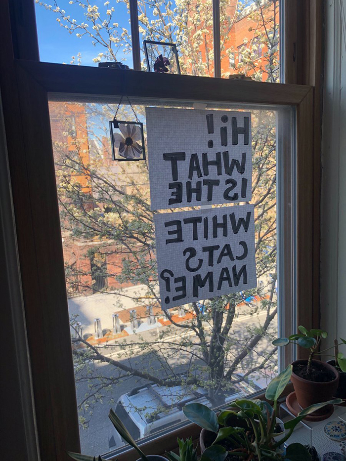 Window Sign Asking Neighbor's Cat's Name