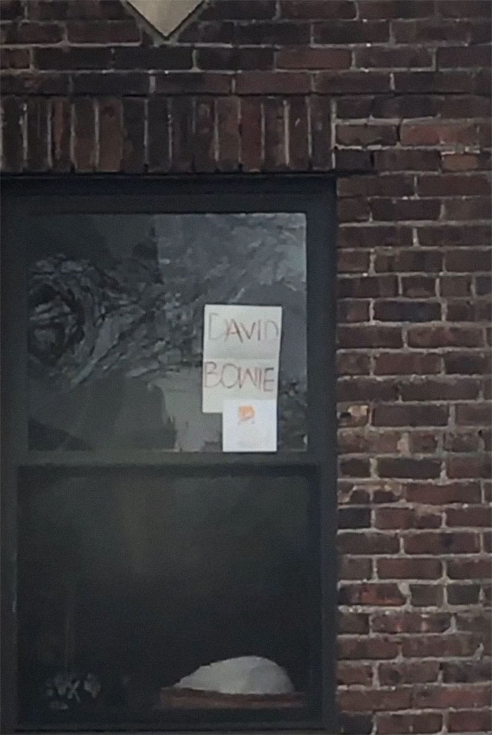 Window Sign Response Cat's Name David Bowie