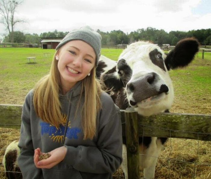 adorable cows smile
