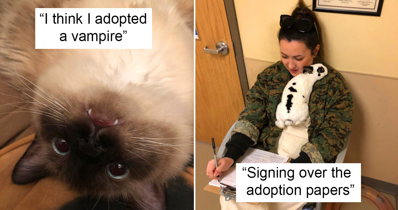 35 People Share Adorable Rescue Pet Photos And They Ll Absolutely