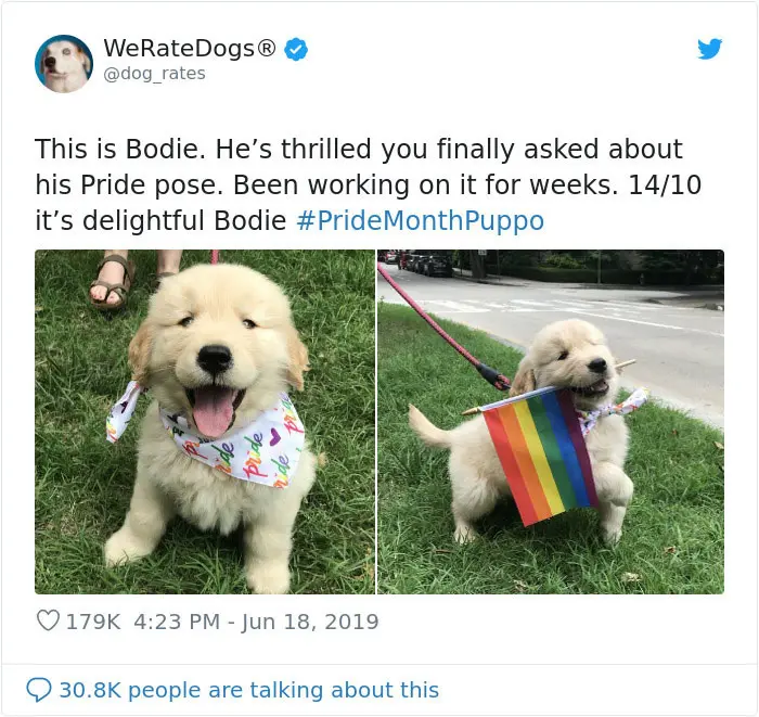 bodie pride pose