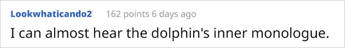 can almost hear the dolphin's inner monologue