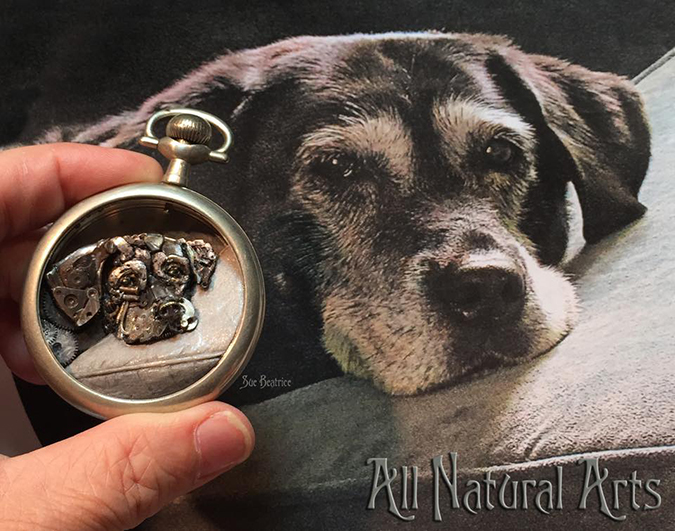 custom pet portrait by sue beatrice