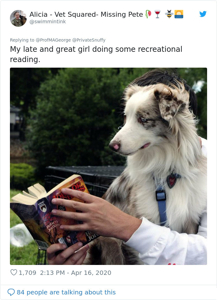 dogs and students book reading