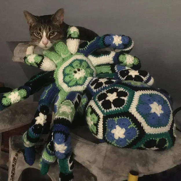 green and blue crochet spider creeps on cat