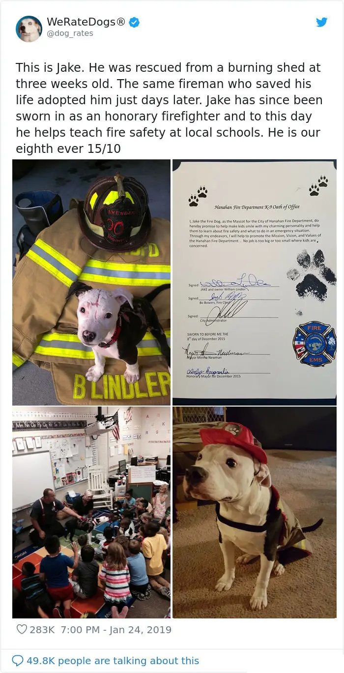 jake honorary canine firefighter