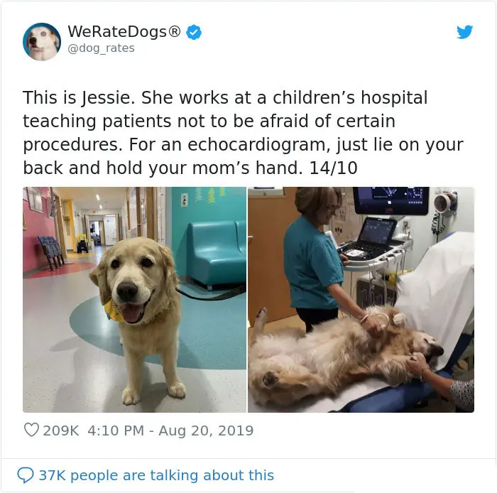 jessie working in children hospital