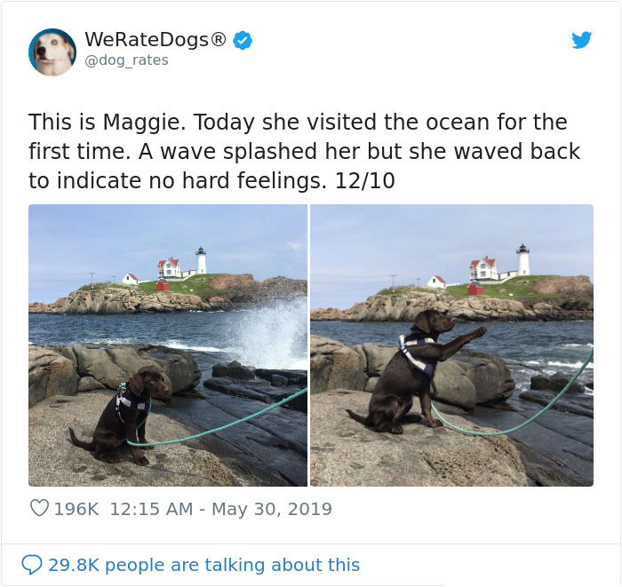 maggie waving back at the ocean