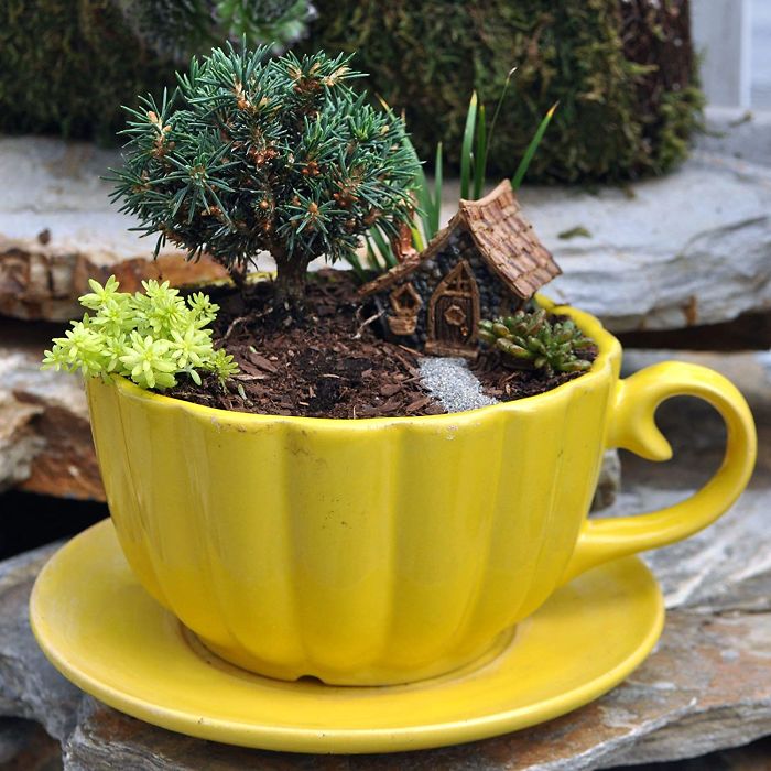 miniature landscapes yellow cup