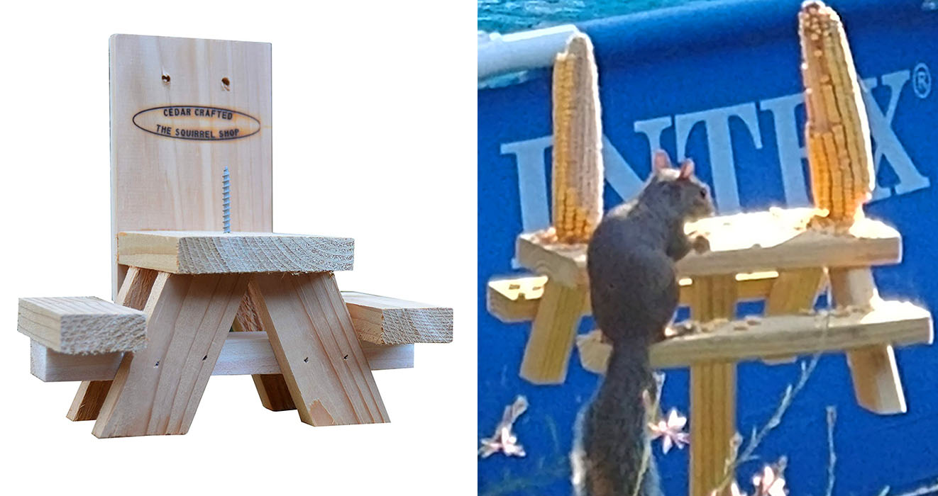 picnic table squirrel feeder