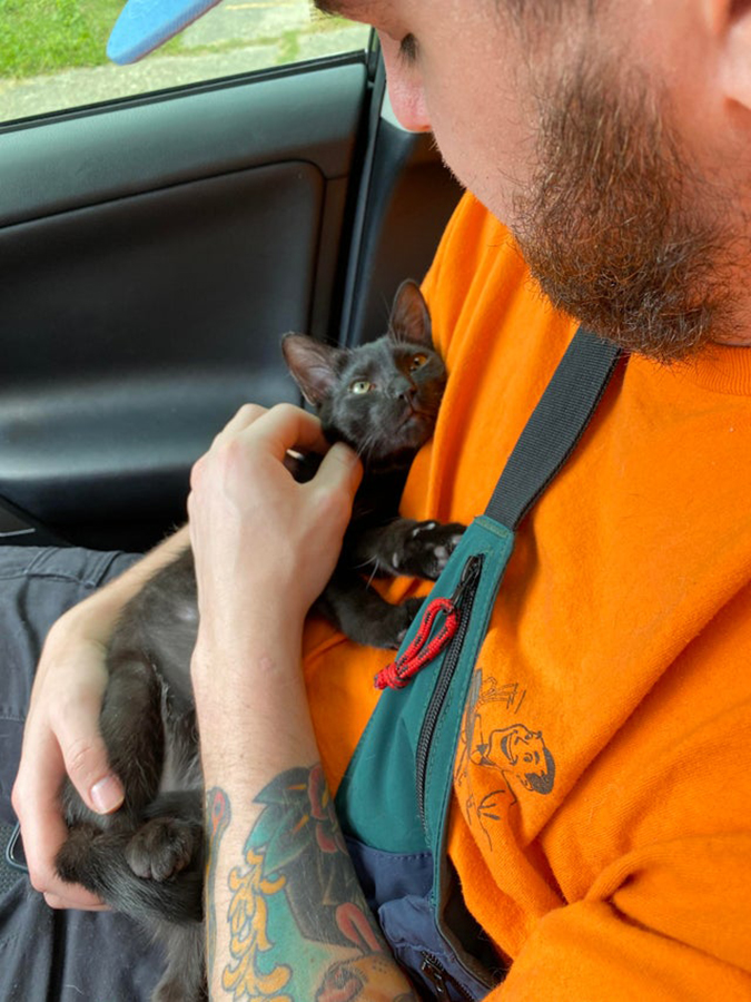 rescue pet photo of black cat being cradled by its new owner