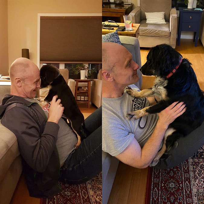 rescue pet photos-one year difference