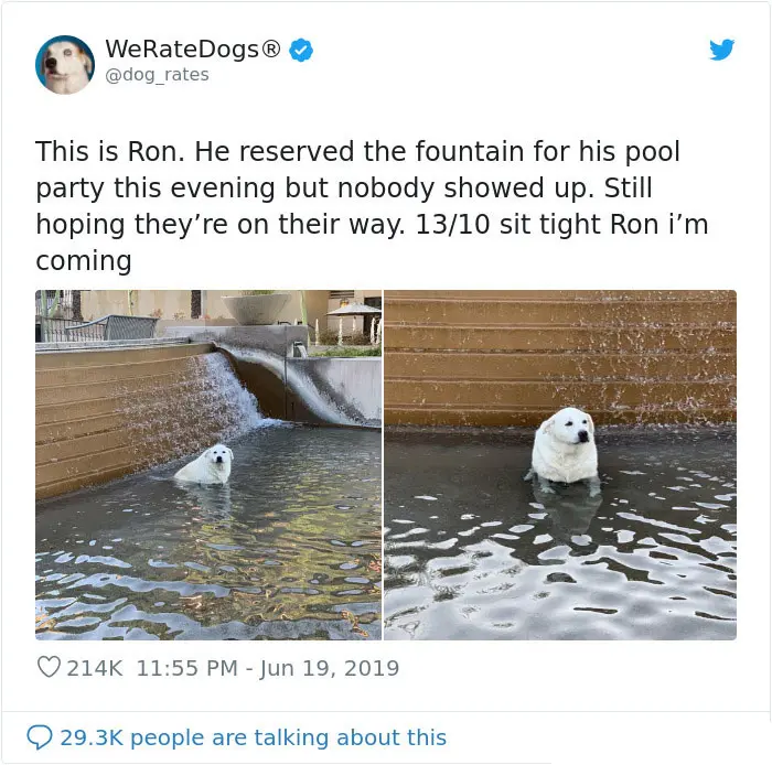 ron lonely pool party