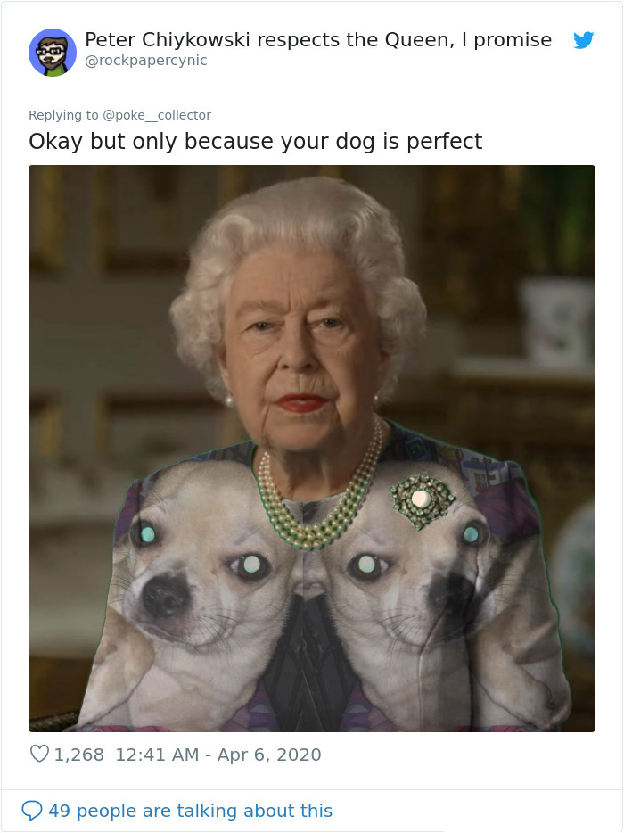 royal green dress memes dogs